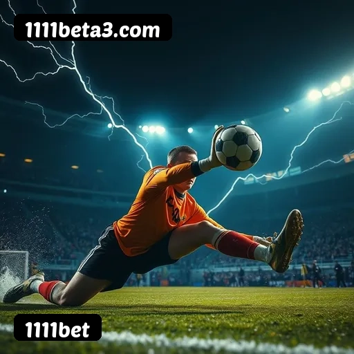 Níveis do programa VIP da 1111bet